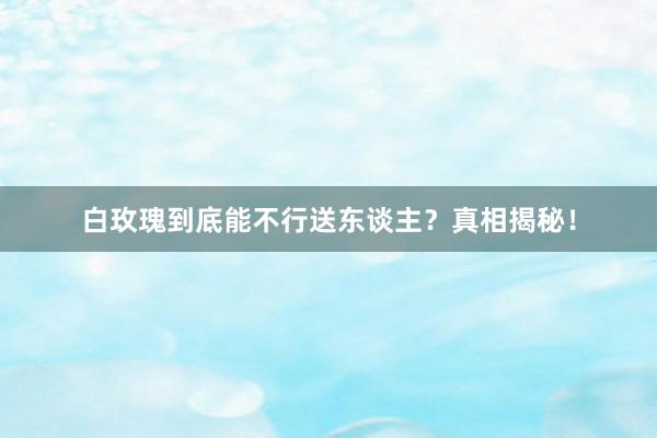 白玫瑰到底能不行送东谈主？真相揭秘！