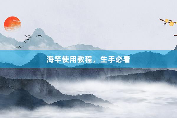 海竿使用教程，生手必看